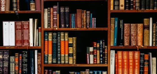 Why I chose to do a PhD